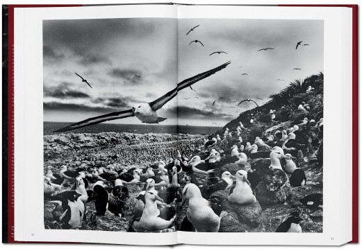 Grafika produktu: Sebastião Salgado. GENESIS