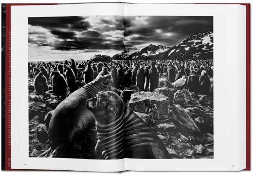 Grafika produktu: Sebastião Salgado. GENESIS