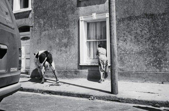 Grafika produktu: Martin Parr: From the Pope to a Flat White : Ireland 1979-2019