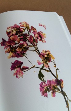 Grafika produktu: Herbarium