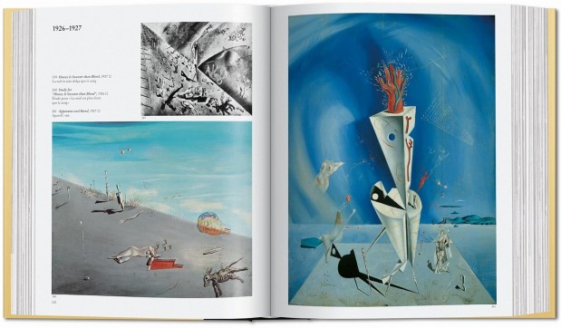 Grafika produktu: Dali. The Paintings