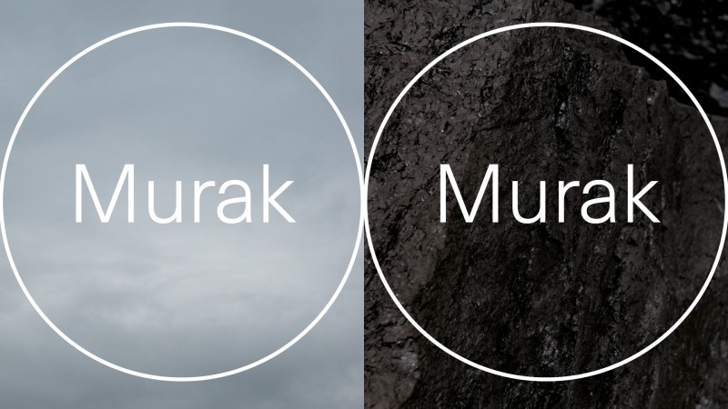 Curatorial tour accompanying Teresa Murak's exhibition