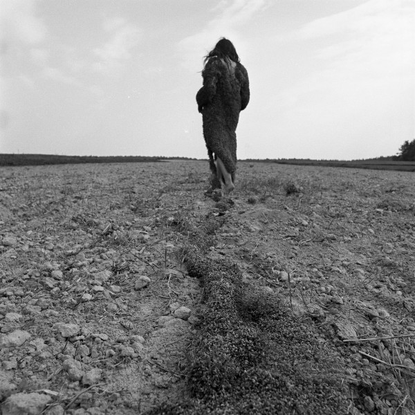 Land art. Family workshops accompanying Teresa Murak's exhibition