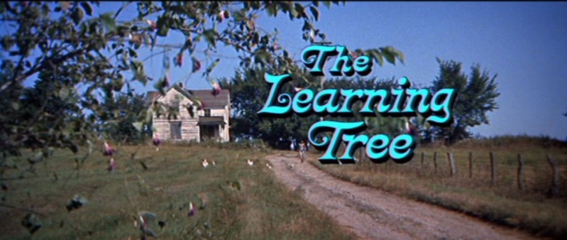 The Learning Tree