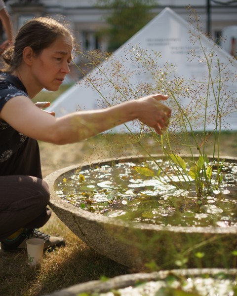 Workshop on water gardening