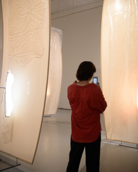 Looking/Seeing. Guided tours for adults 60+