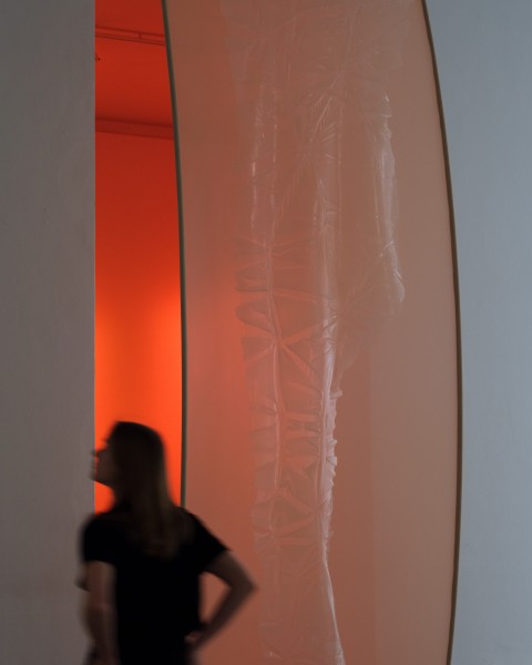 Thursday guided tours of current exhibitions