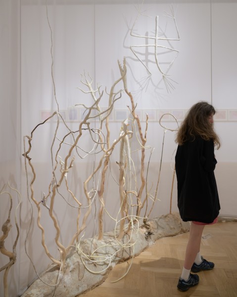 Thursday guided tours of current exhibitions