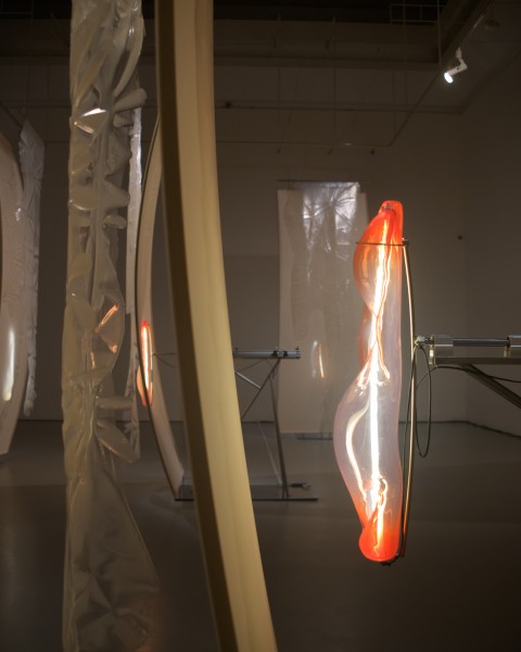 Lecture by Dominika Łarionow and discussion with Agnieszka Pindera