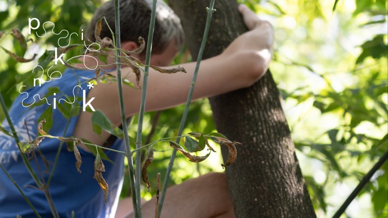 Piknik