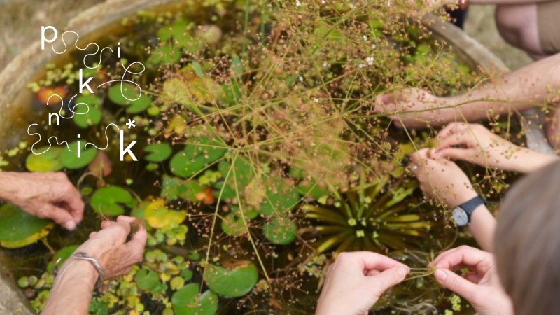 Piknik