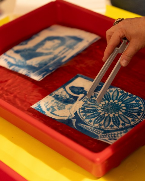 Plant collages. Open cyanotype workshop for adults