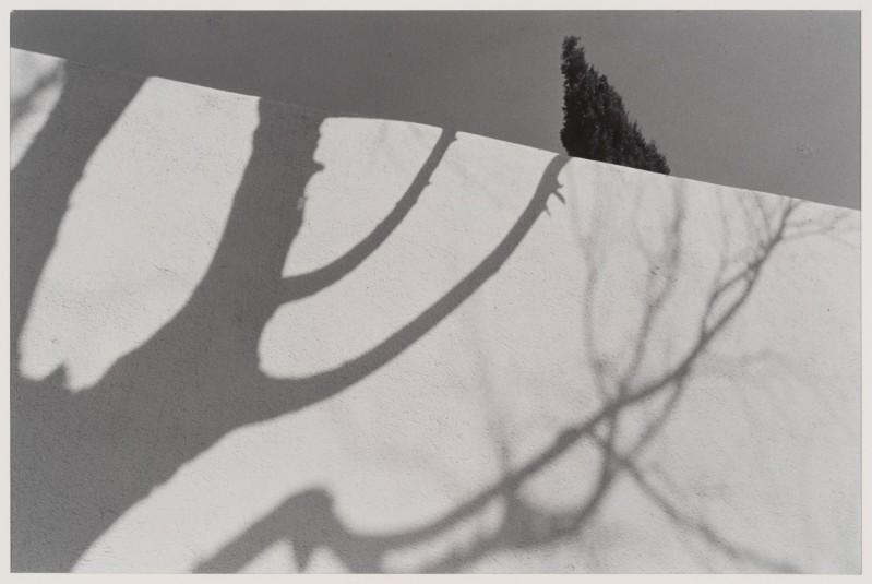Fot. Fotogram mur cmentarny, Nimes, Francja, Eva Rubenstein 