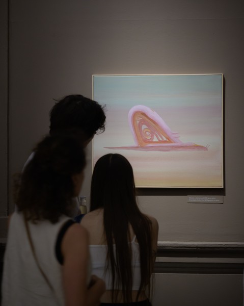 Sunday guided tours of current exhibitions