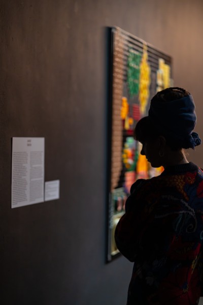 Looking/Seeing. Guided tours for adults 60+