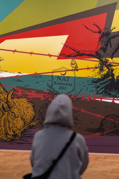 Malujemy wielki mural - życie w lesie!