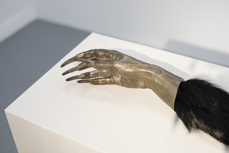 Nie-ludzkie. Powinowactwa z wyboru