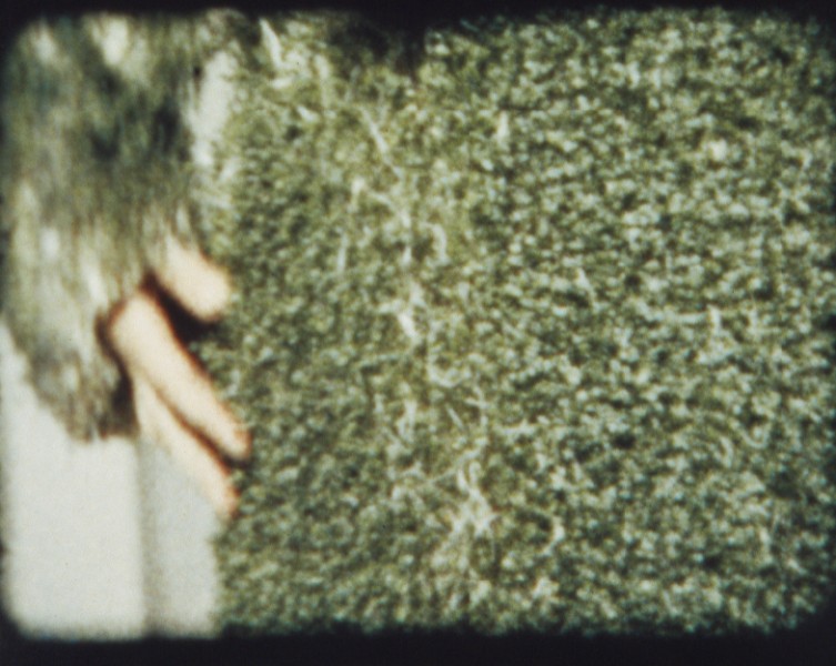 Welcoming spring – cress paintings