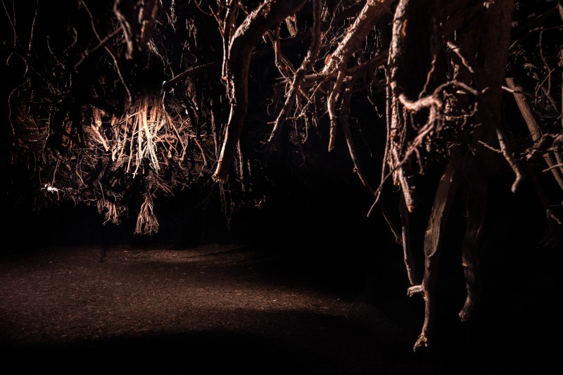 Filozofia w Zachęcie!