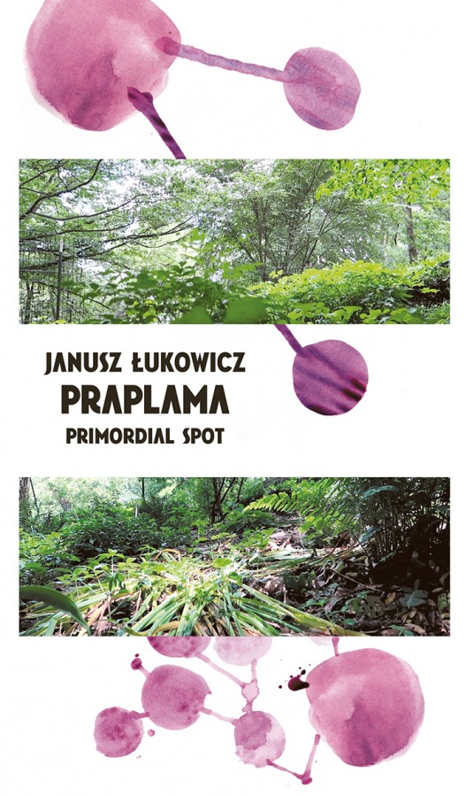 Grafika obiektu: JANUSZ ŁUKOWICZ. PRAPLAMA