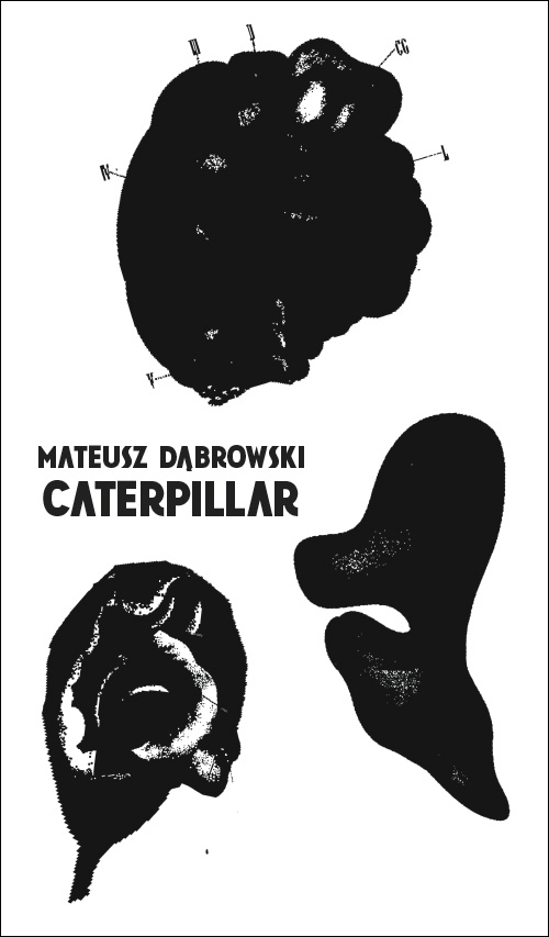 Grafika obiektu: Mateusz Dąbrowski. CATERPILLAR