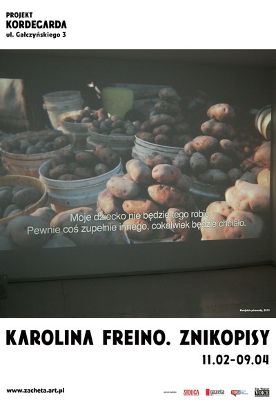 Grafika obiektu: Karolina Freino. Znikopisy