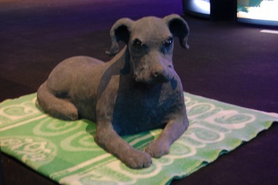 Grafika obiektu: All Creatures Great and Small