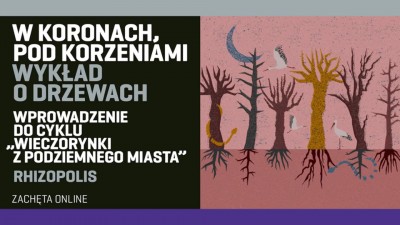 Grafika obiektu: W koronach, pod korzeniami. Wykład o drzewach