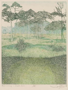 Zdjęcie pracy Spring Landscape