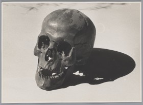 Zdjęcie pracy Skull