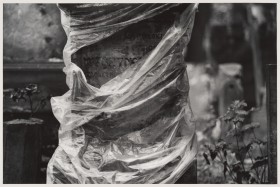 Zdjęcie pracy Plastic-covered Gravestone, Warsaw